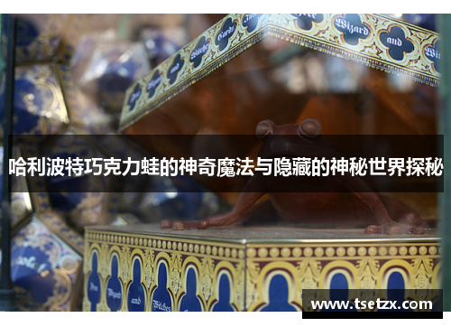 哈利波特巧克力蛙的神奇魔法与隐藏的神秘世界探秘